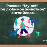 Рассказ «Моё любимое животное» на английском. Сочинение «My pet»