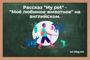 Рассказ "Моё любимое животное" на английском. Сочинение "My pet"