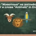 Тема «Животные» на английском. Текст и слова «Animals» in English с переводом